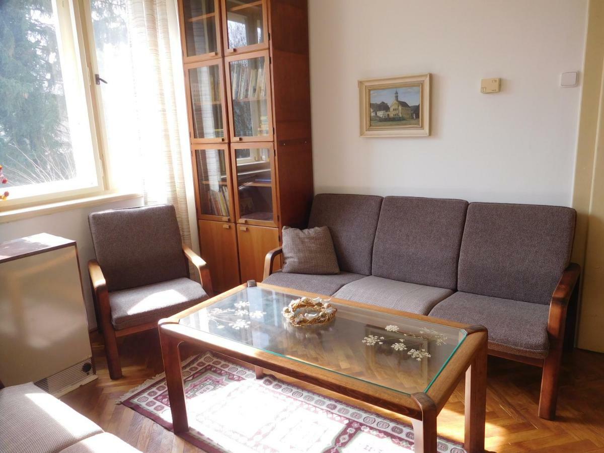 Hradiska Apartment Jablonné nad Orlicí Екстериор снимка